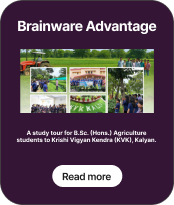 advantage image