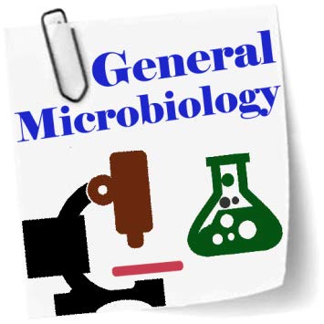 bsc microbiology