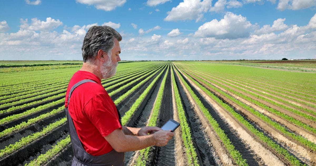 agriculture