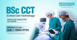 bsc-cct-brainware-univ
