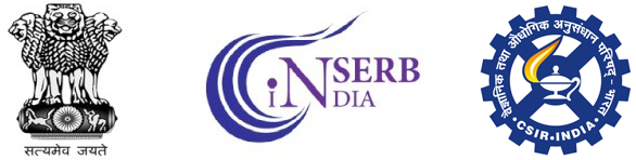 serb dst logo