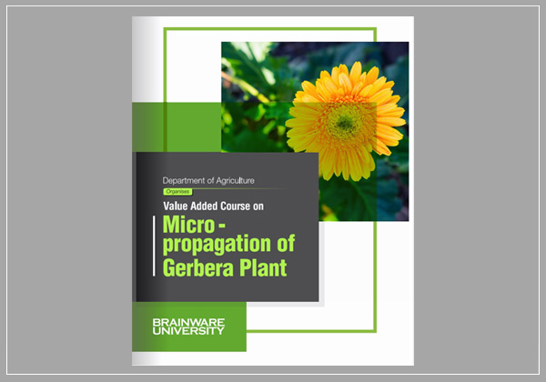 Image 228 for the 30-hour value-added course on 'Micro-propagation of Gerbera Plant'