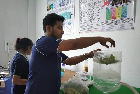 biotechnology & agriculture Photo-4