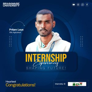 pritam-leye-internship