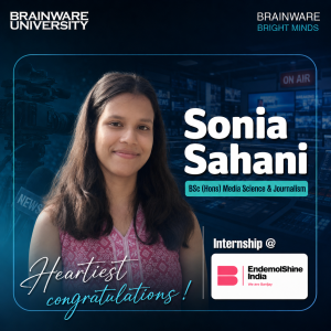 internship sonia sahani endemolshie india