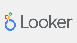 ai-logo-looker
