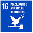 SDG 16