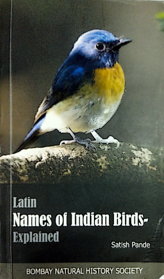Latin names of Indian birds: explained